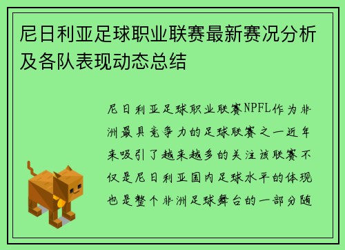 尼日利亚足球职业联赛最新赛况分析及各队表现动态总结