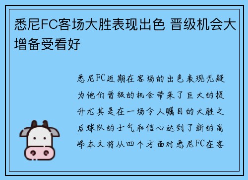 悉尼FC客场大胜表现出色 晋级机会大增备受看好